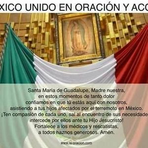 Meet your Posher, Irma